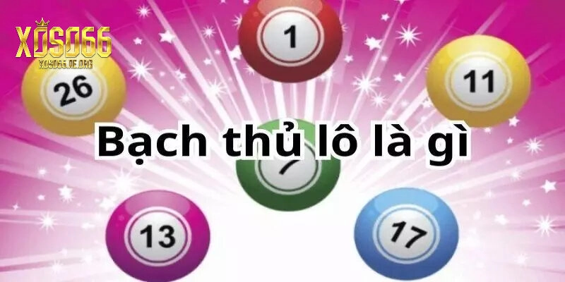 Bạch thủ lô là gì?