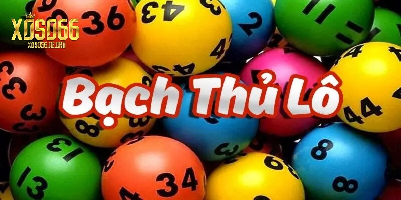 Lý do nên tham gia Bạch Thủ Lô