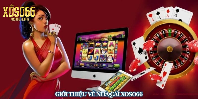 Giới thiệu Xoso66 về các chứng chỉ hoạt động