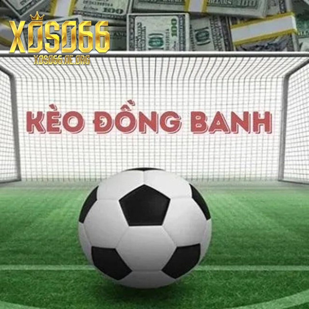 Tổng quan về Kèo Đồng Banh tại Xoso66