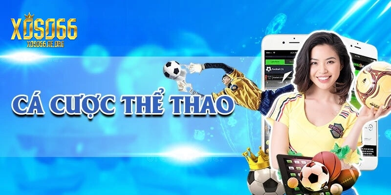 Cổng cá cược uy tín và hợp phát tại xoso66
